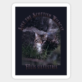 Save the Scottish Wildcat Sticker